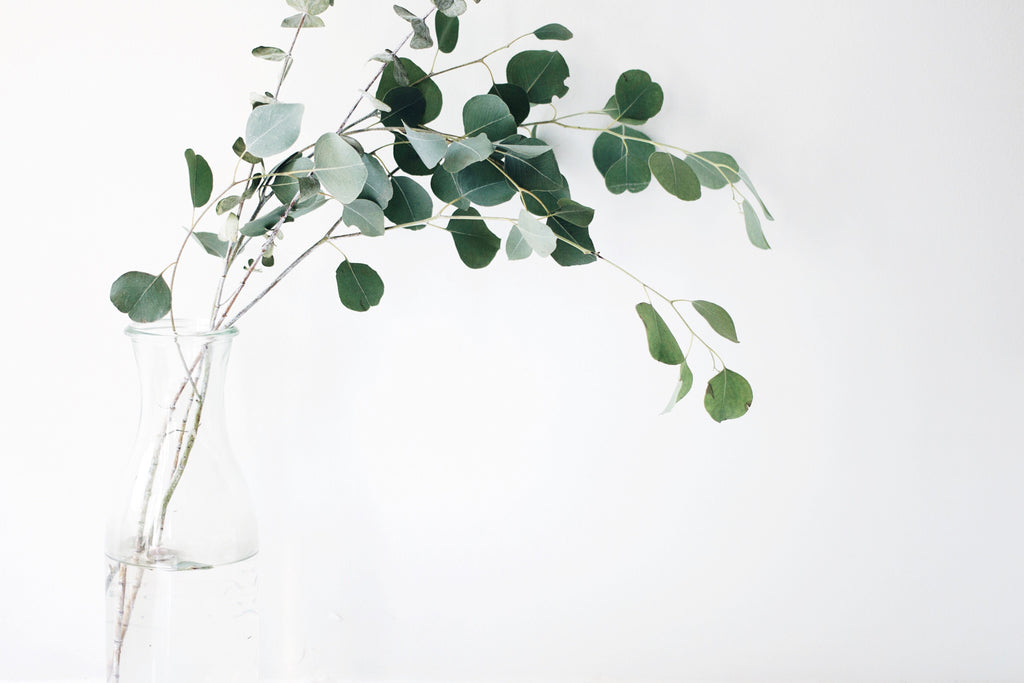 The Black - White and Green - Arabesque