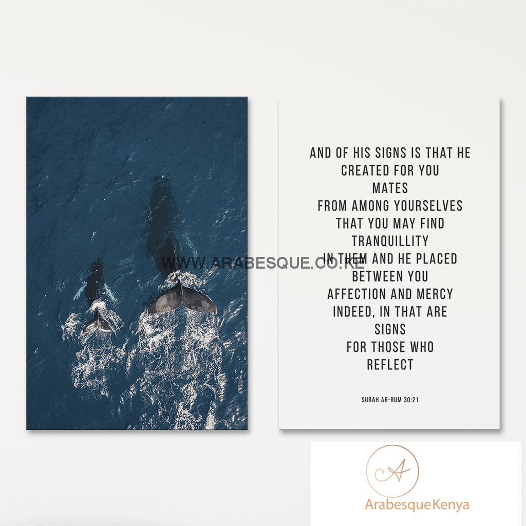 Reminder Series Set Surah Ar Rum 30 21 Beautiful Whales - Arabesque
